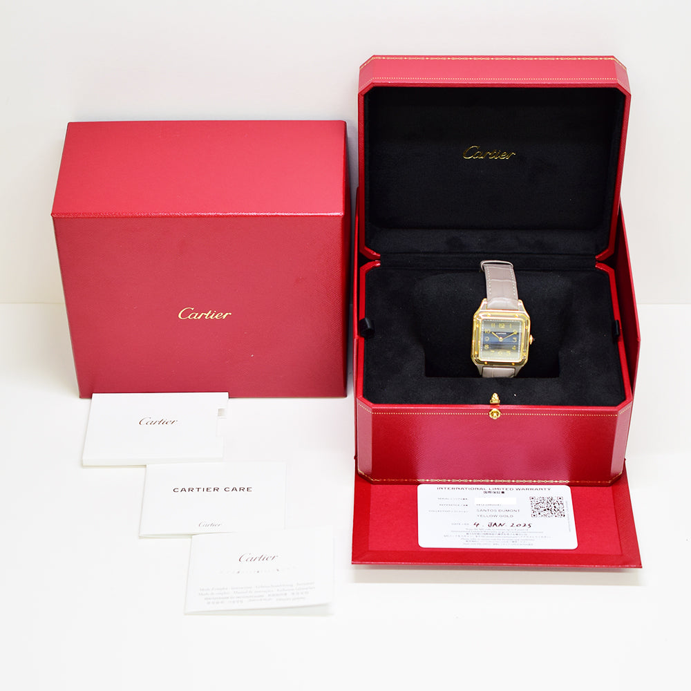 Cartier WGSA0097 (2025)