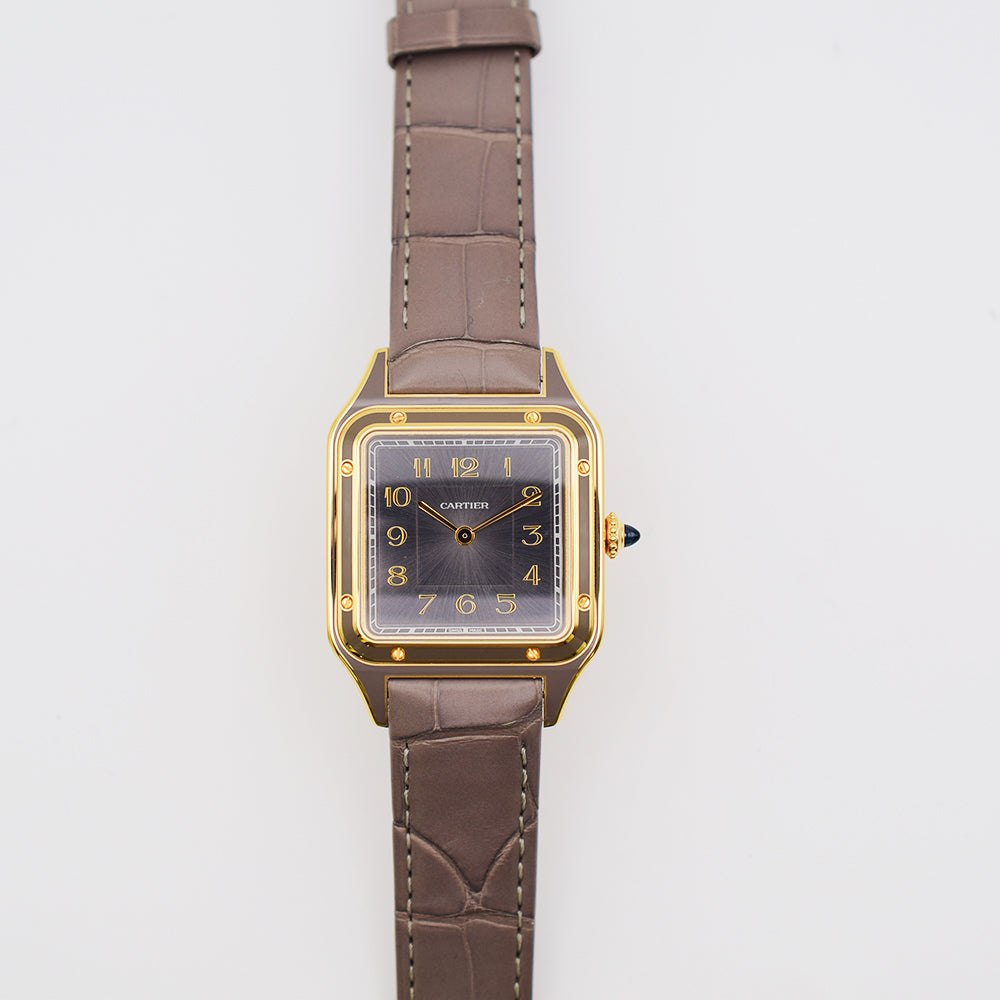 Cartier WGSA0097 (2025)
