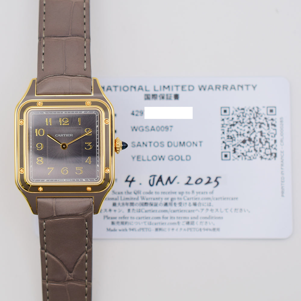 Cartier WGSA0097 (2025)