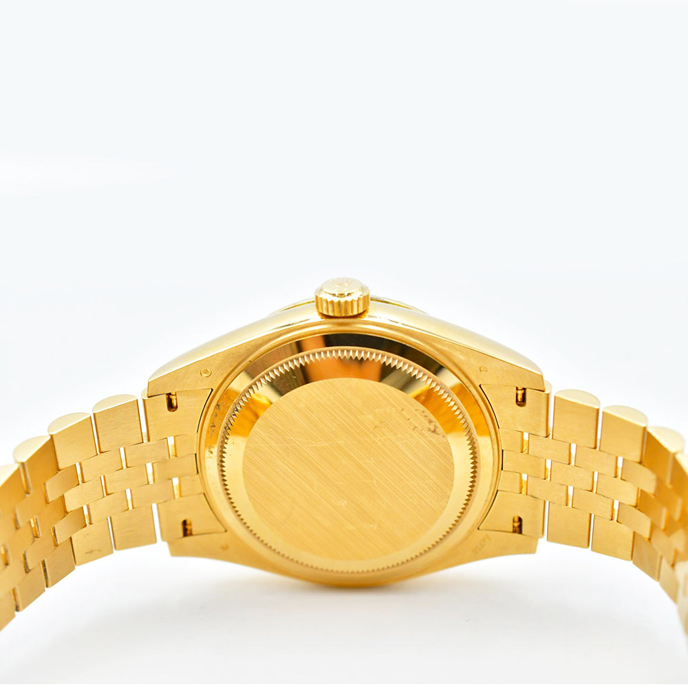 Rolex Sky-Dweller 42mm Champagne Dial 336938 (2024)