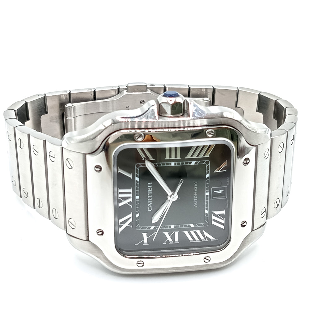 Cartier WSSA0062 (2024)