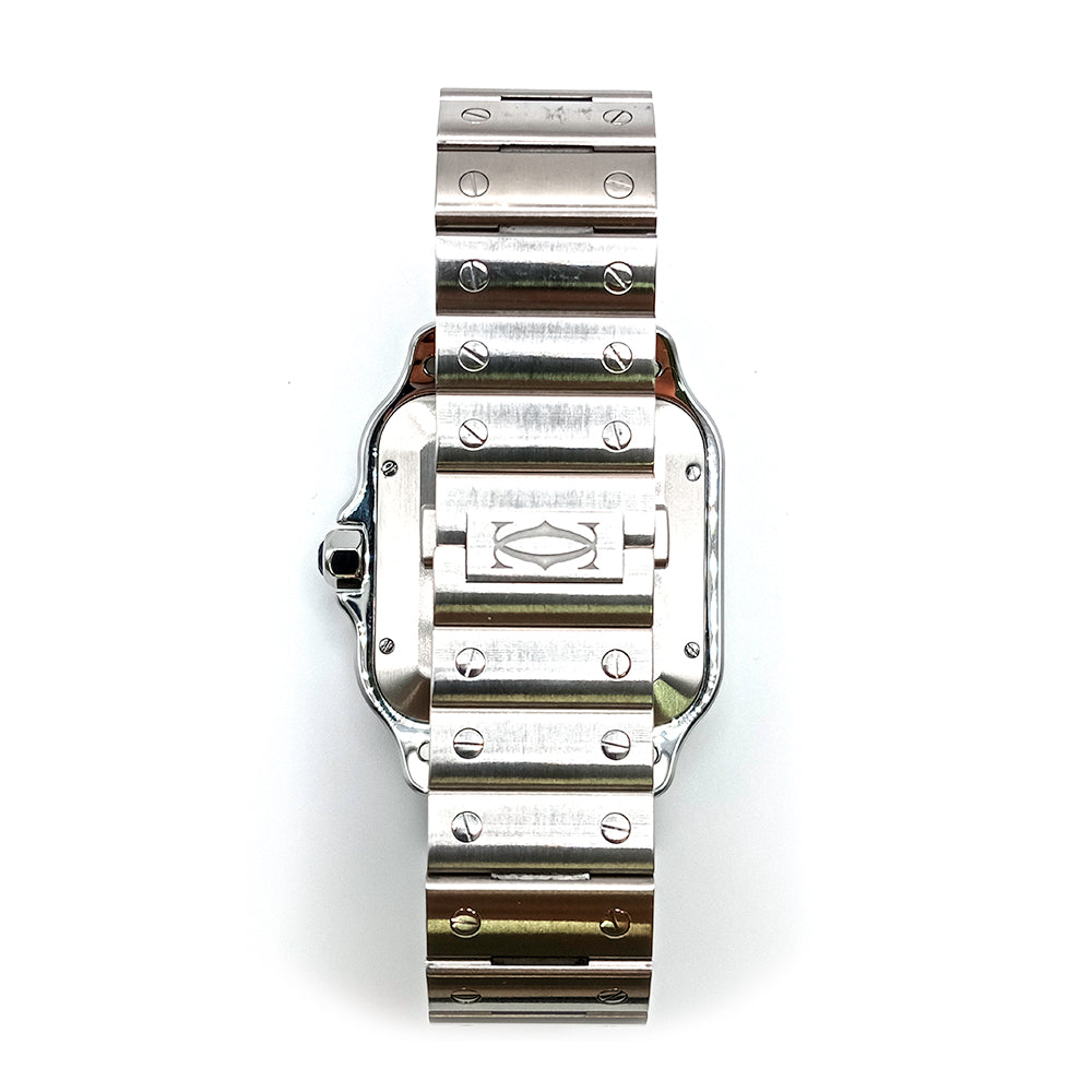 Cartier WSSA0062 (2024)