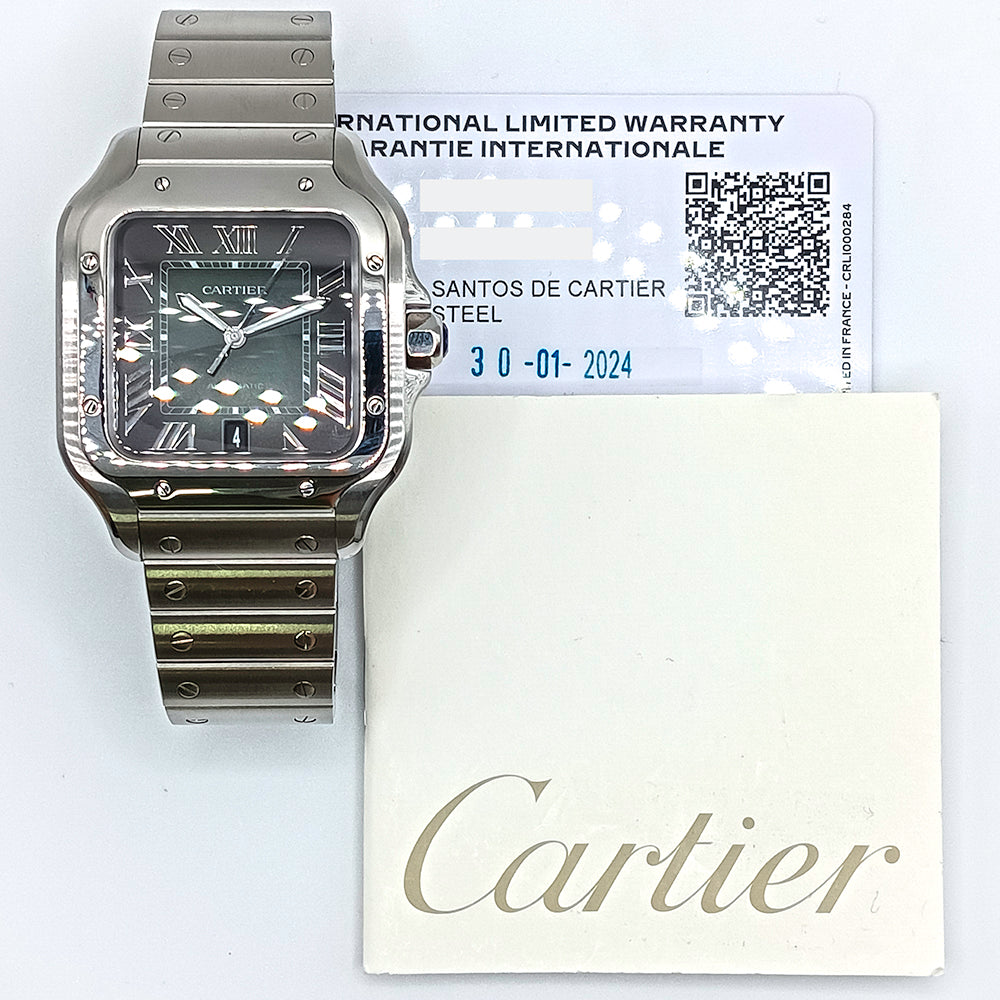 Cartier WSSA0062 (2024)
