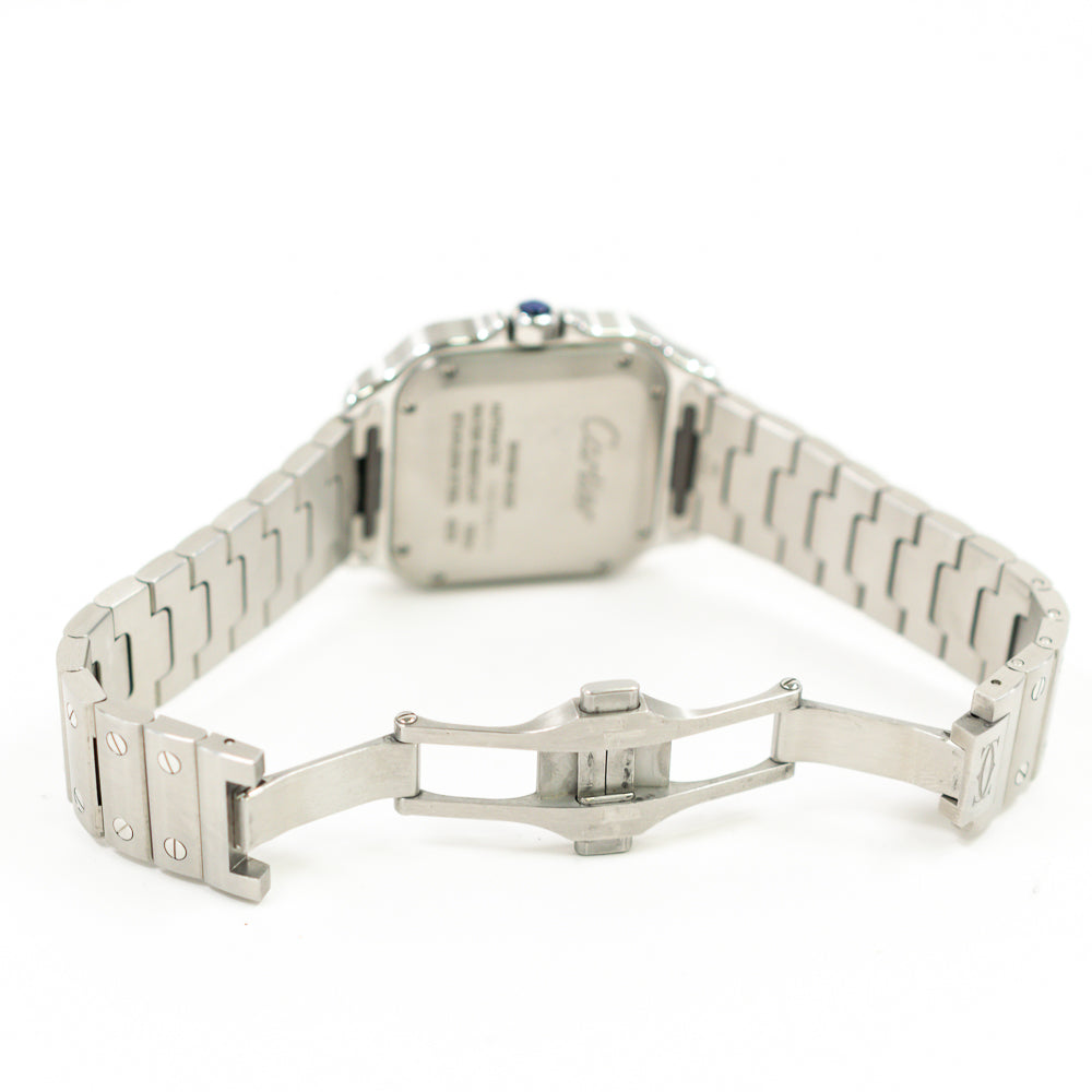 Cartier WSSA0010 (2019)
