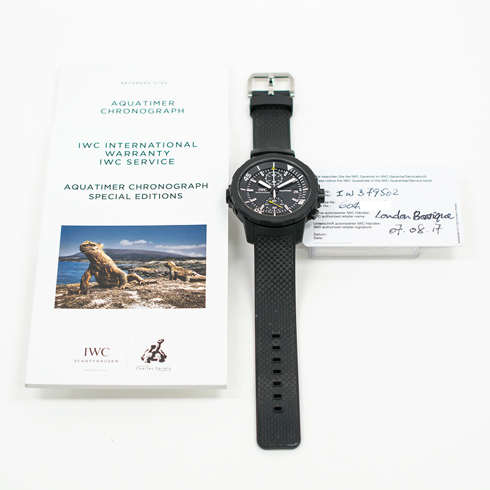 IWC Schaffhausen IW379502 (2017)