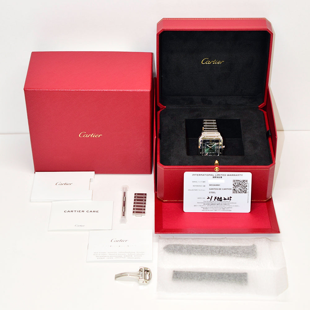 Cartier WSSA0061 (2025)