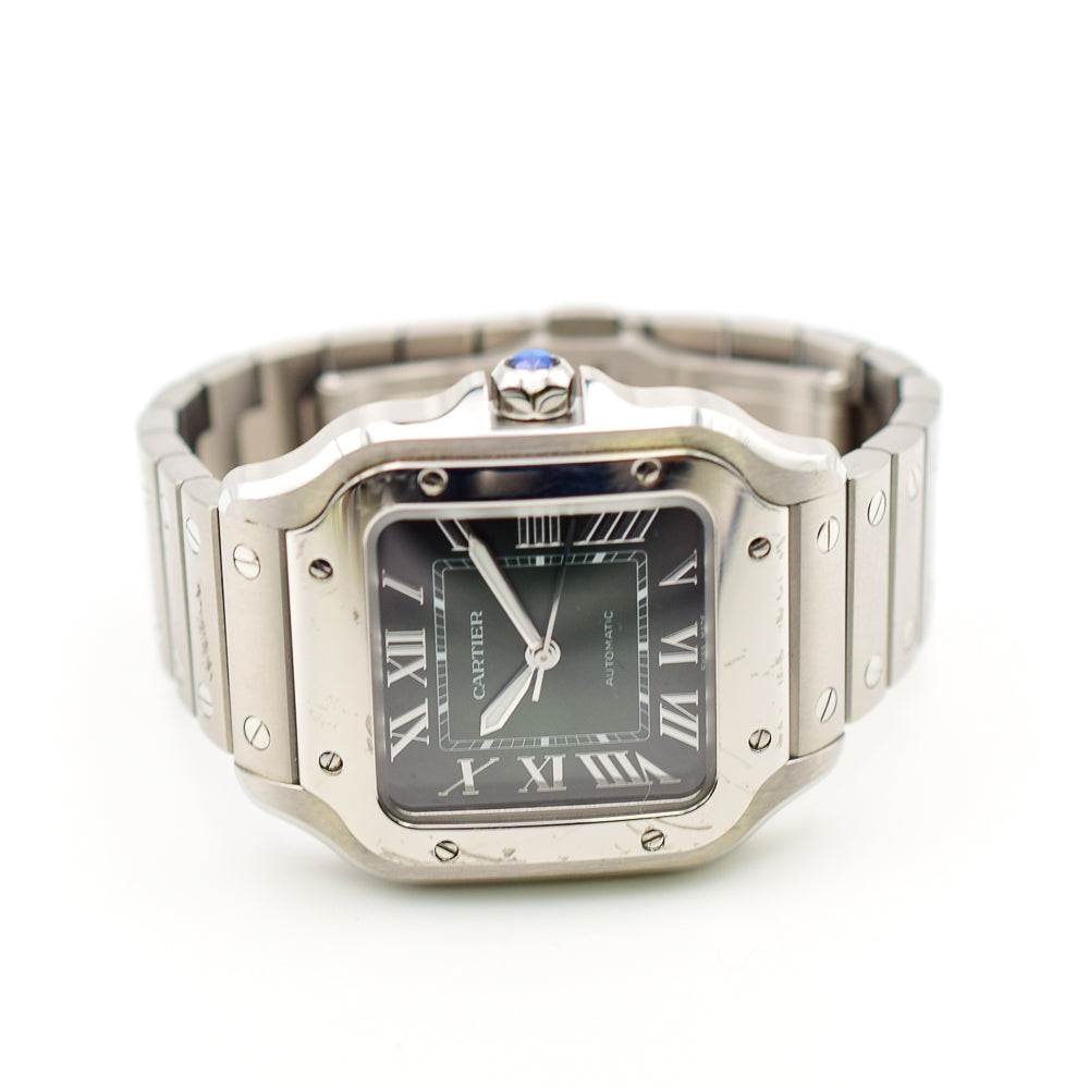 Cartier WSSA0061 (2025)
