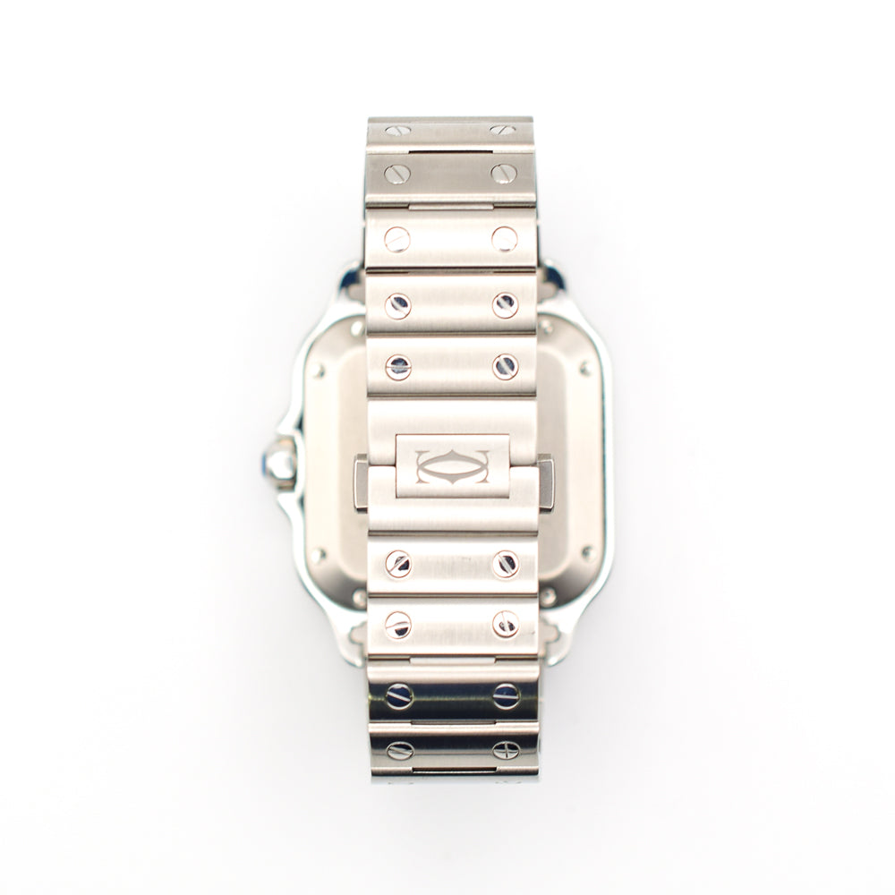 Cartier WSSA0061 (2025)