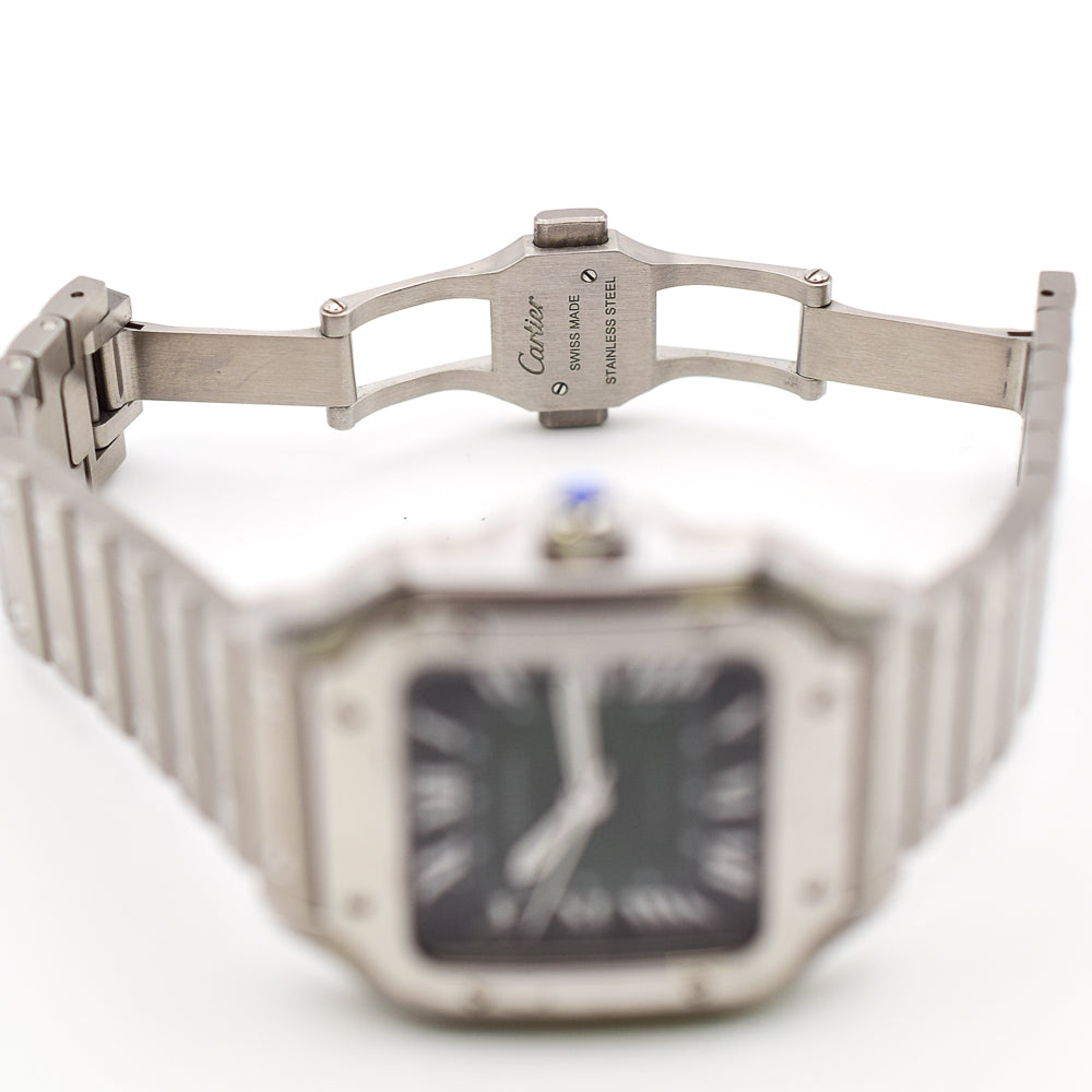 Cartier WSSA0061 (2025)