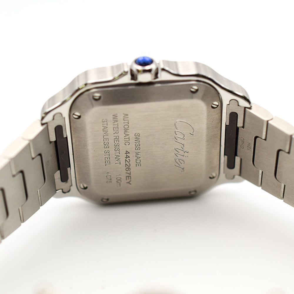 Cartier WSSA0061 (2025)
