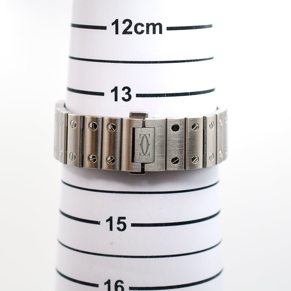 Cartier WSSA0061 (2025)