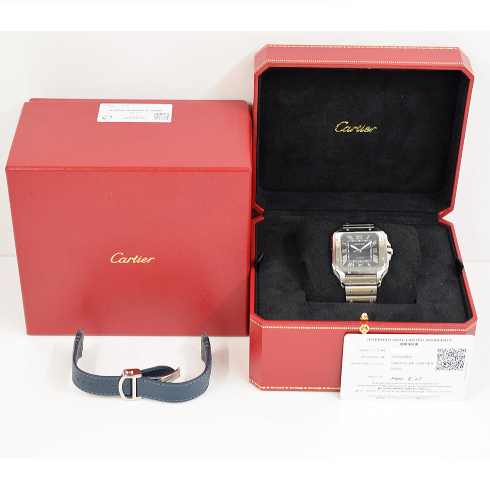 Cartier WSSA0030 (2022)