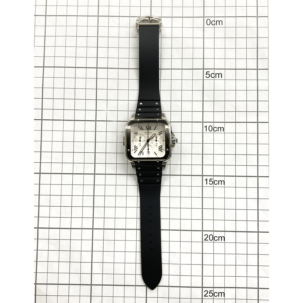 Cartier WSSA0017 (2021)