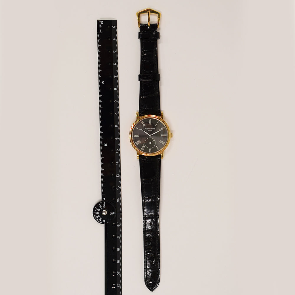 Patek Philippe 3919J-016 (2008)