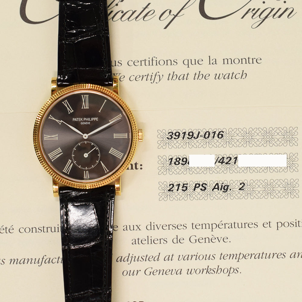 Patek Philippe 3919J-016 (2008)