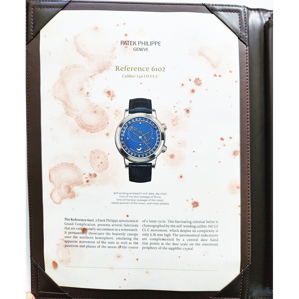 Patek Philippe 6102P-001 (2015)