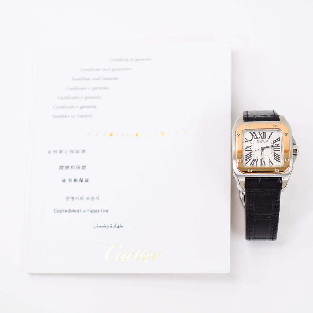 Cartier W20107X7 (2013)