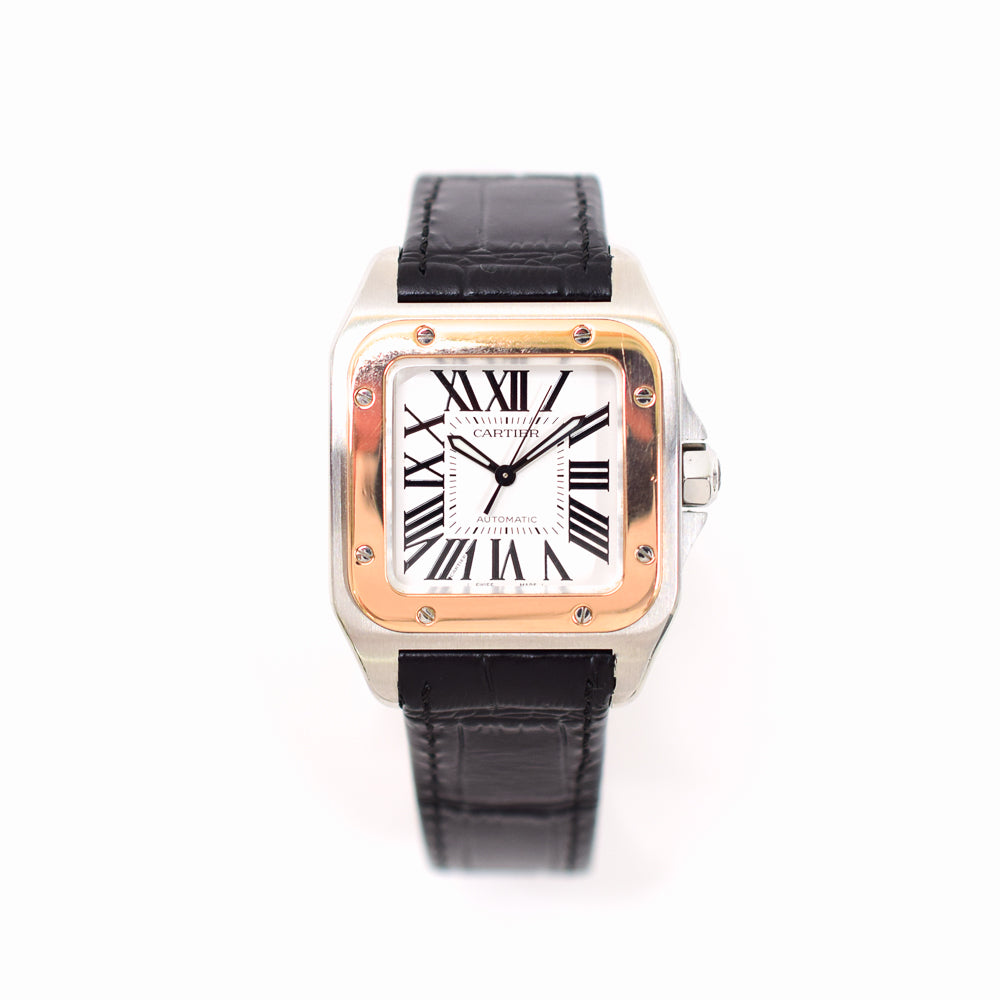Cartier W20107X7 (2013)