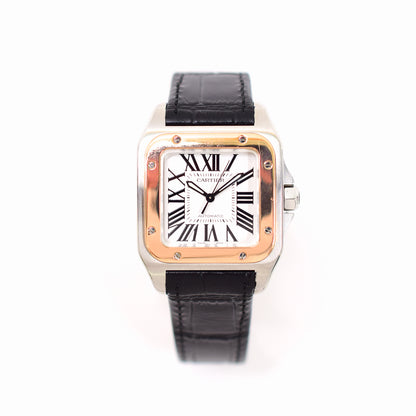 Cartier W20107X7 (2013)