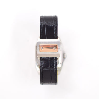 Cartier W20107X7 (2013)