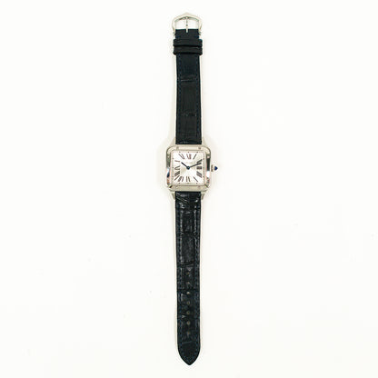 Cartier WSSA0023 (2022)