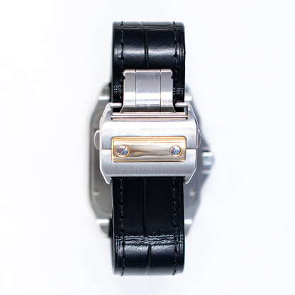 Cartier W20072X7 (2012)