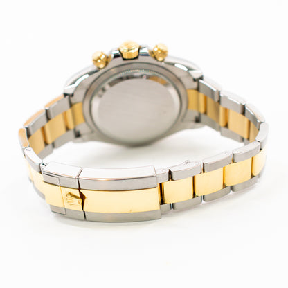 Rolex Daytona White Dial 126503 (2025)