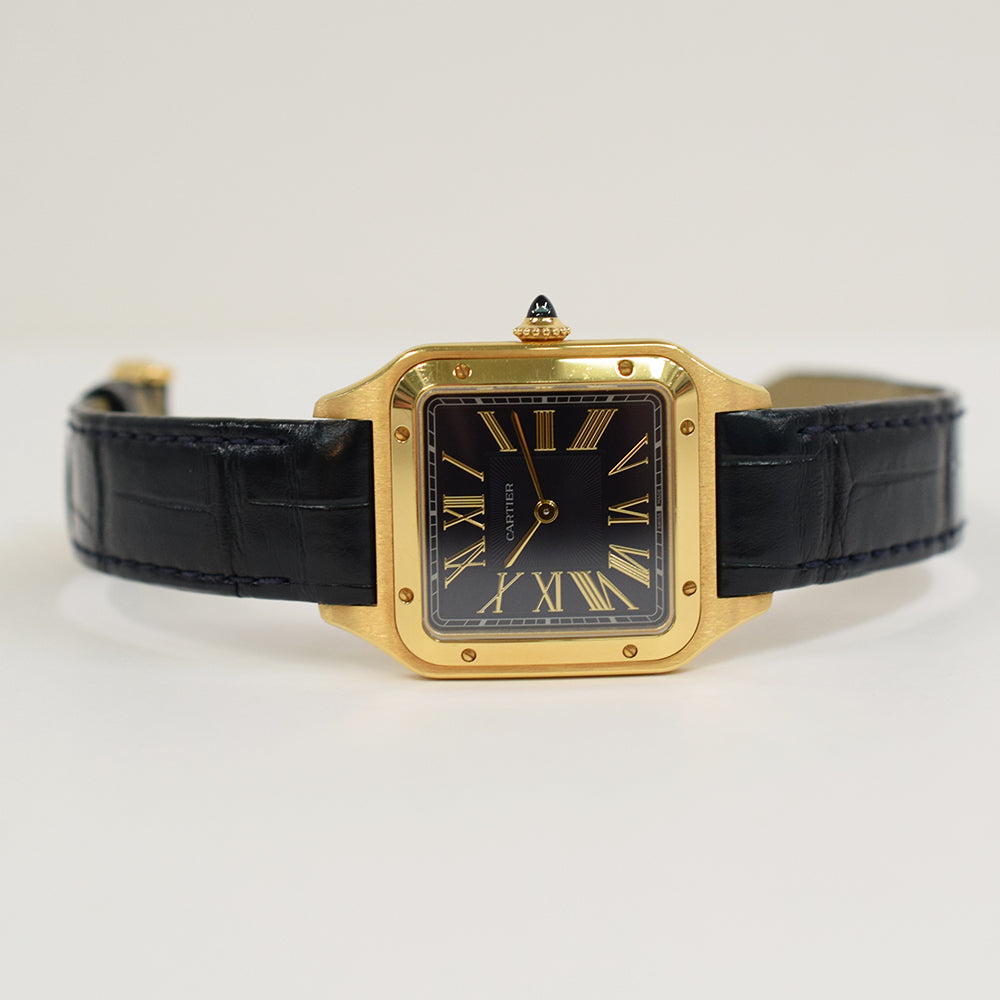 Cartier WGSA0077 (2024)