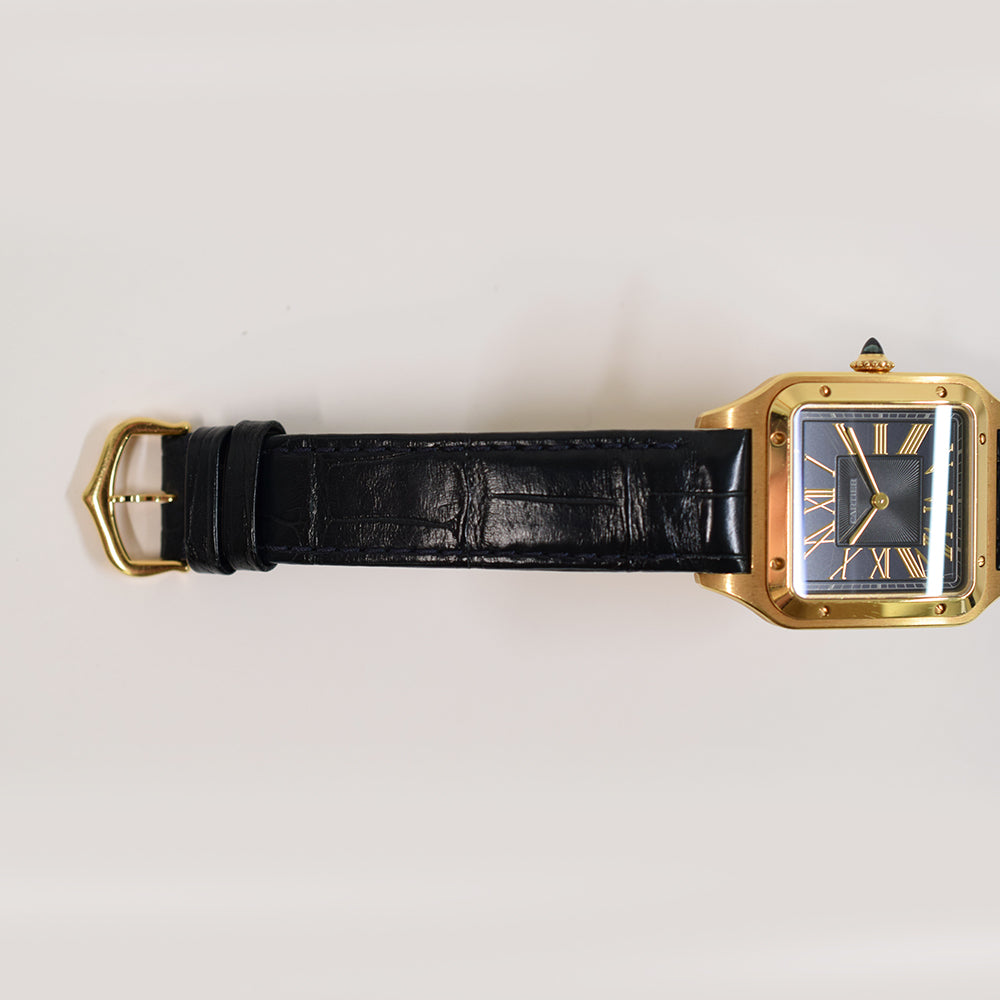 Cartier WGSA0077 (2024)