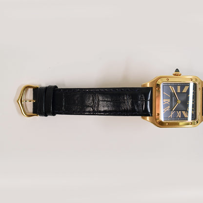 Cartier WGSA0077 (2024)