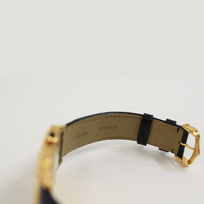 Cartier WGSA0077 (2024)