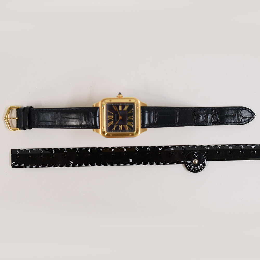 Cartier WGSA0077 (2024)