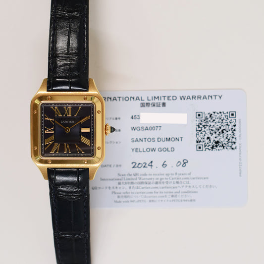 Cartier WGSA0077 (2024)