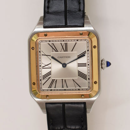 Cartier W2SA0017 (2020)