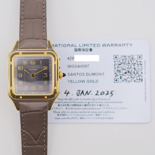 Cartier WGSA0097 (2025)