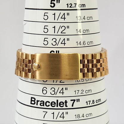 Rolex Vintage GMT-Master 40mm Brown Nipple Dial 1675