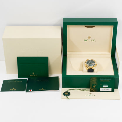 Rolex Sky-Dweller Green Dial 336238 (2025)