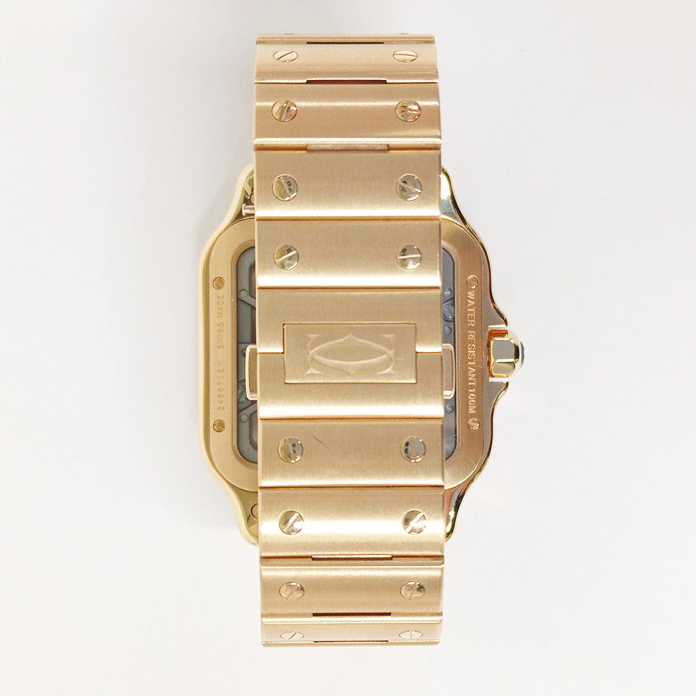 Cartier WHSA0042 (2025)