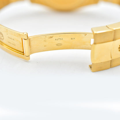 Rolex Sky-Dweller 42mm Champagne Dial 336938 (2024)