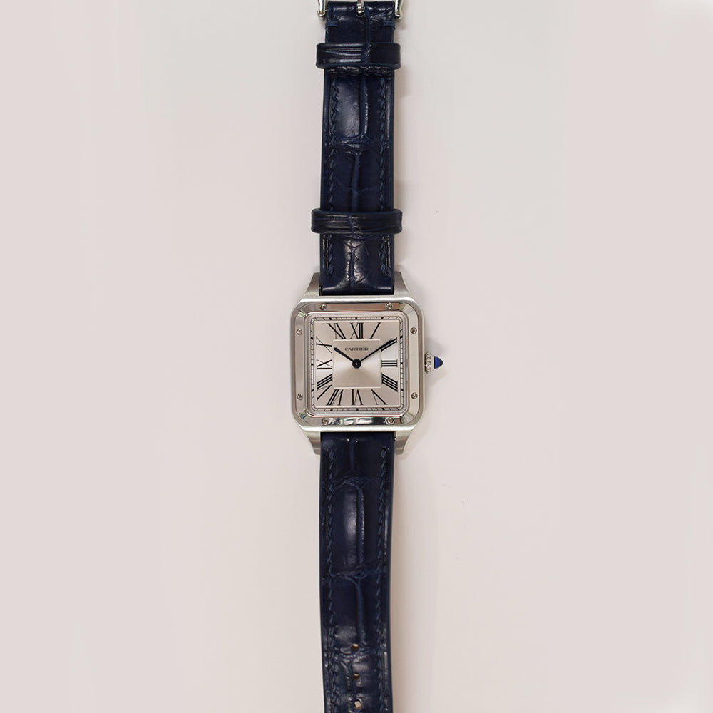 Cartier WSSA0022 (2025)