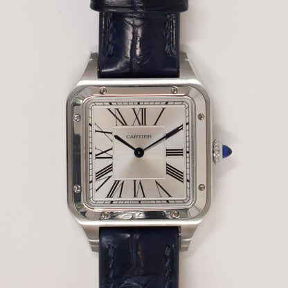 Cartier WSSA0022 (2025)