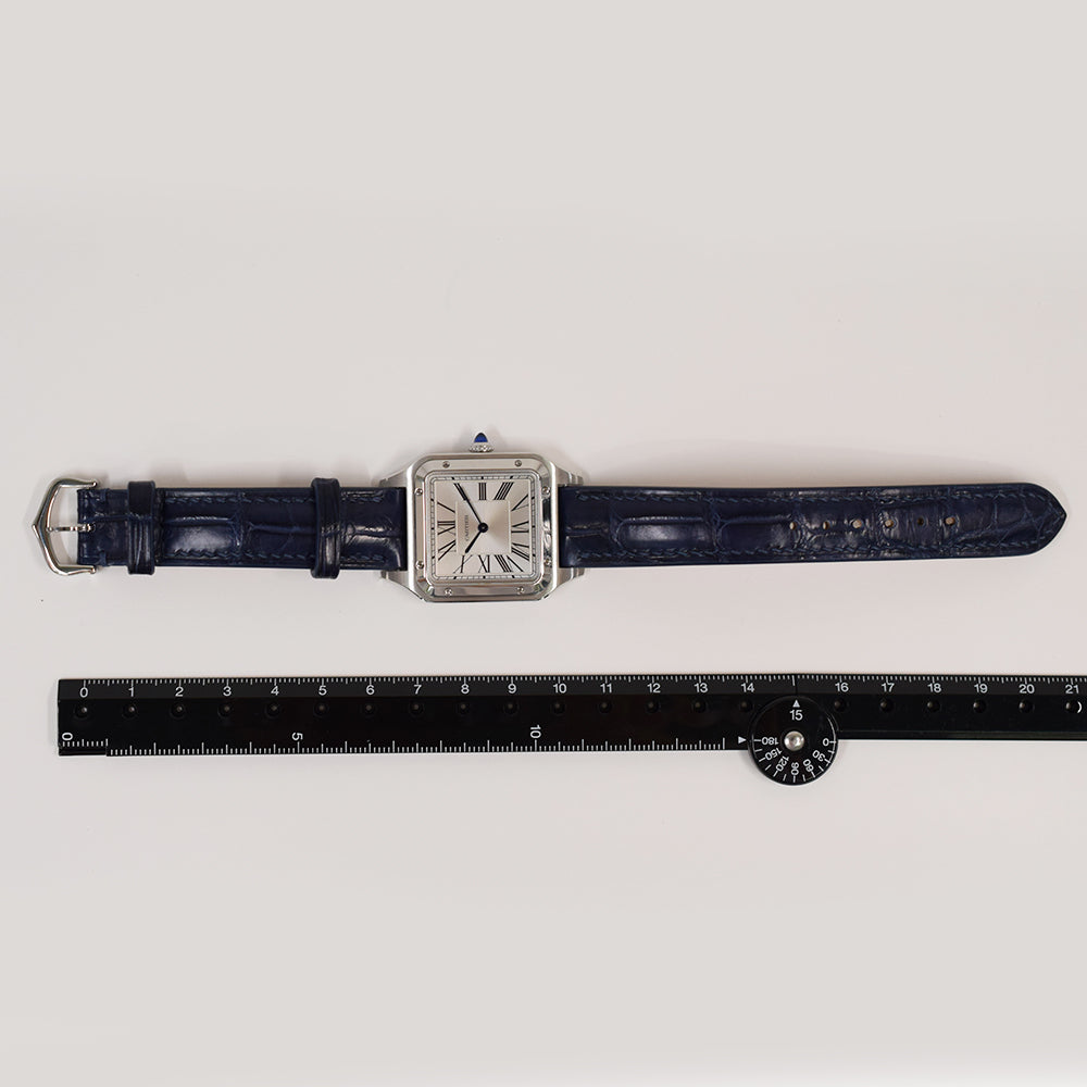 Cartier WSSA0022 (2025)