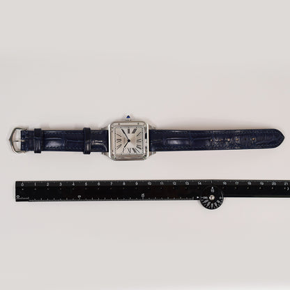 Cartier WSSA0022 (2025)