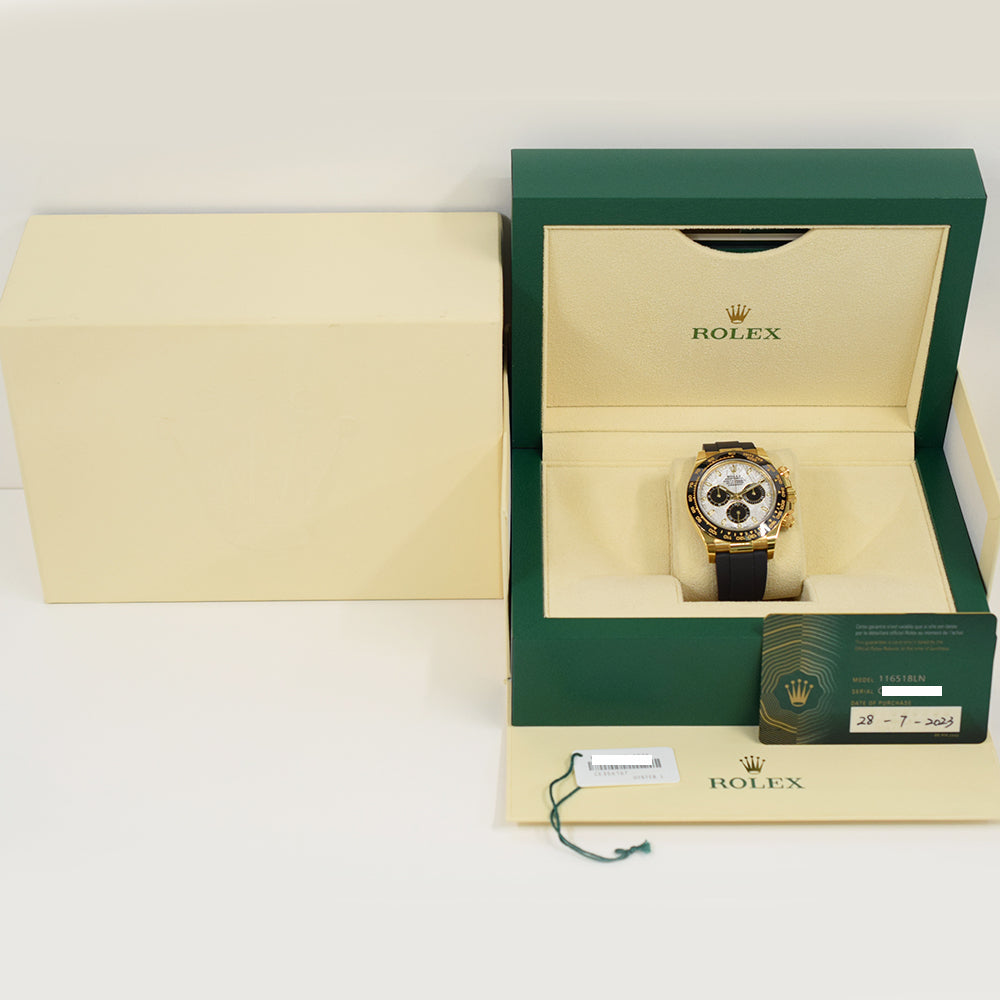Rolex Daytona Meteorite Dial 116518LN (2023)