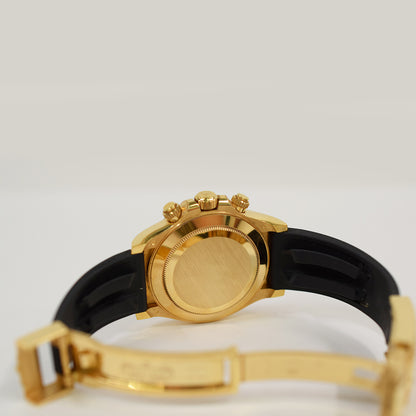 Rolex Daytona Meteorite Dial 116518LN (2023)