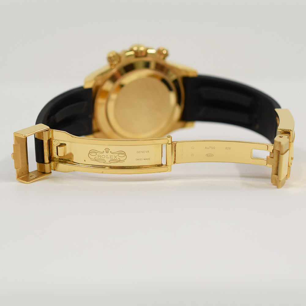 Rolex Daytona Meteorite Dial 116518LN (2023)
