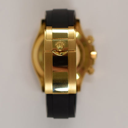 Rolex Daytona Meteorite Dial 116518LN (2023)