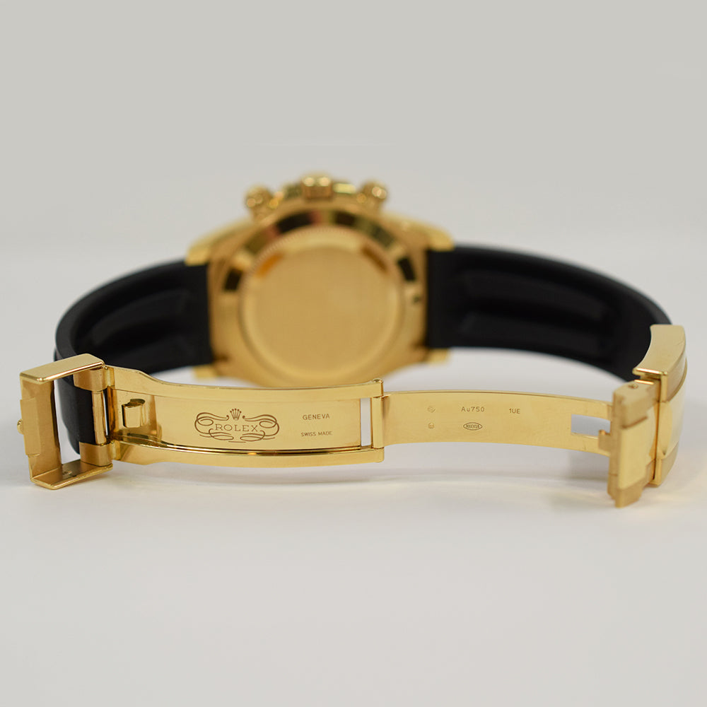 Rolex Daytona Meteorite Dial 116518LN (2021)
