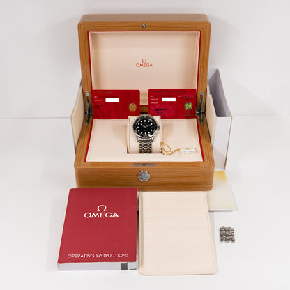 Omega 212.30.41.20.01.003 (2018)