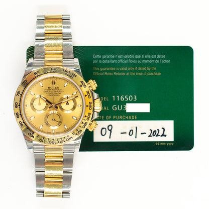 Rolex Daytona Champagne Dial 116503 (2022)